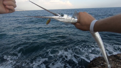 Fishing in Kemer from the shore