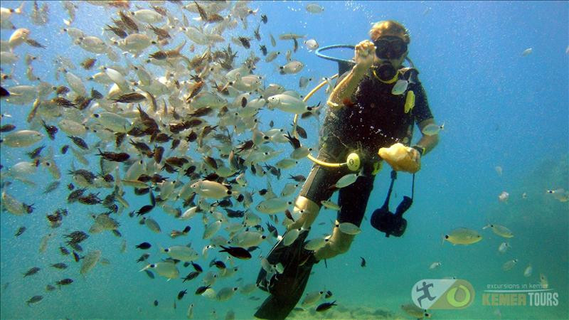 Diving in Kemer