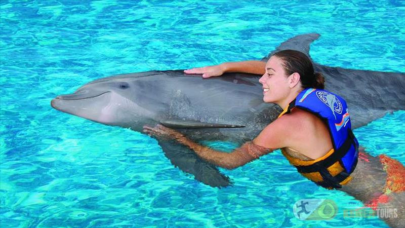 Swimming with dolphins in Kemer