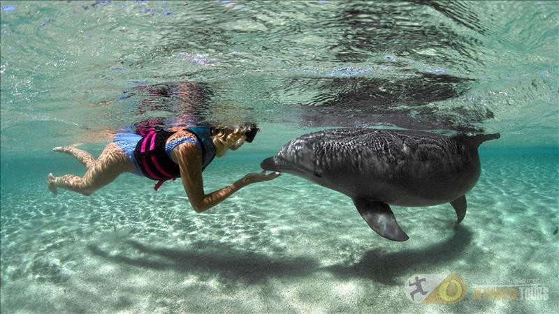 Swimming with dolphins in Kemer