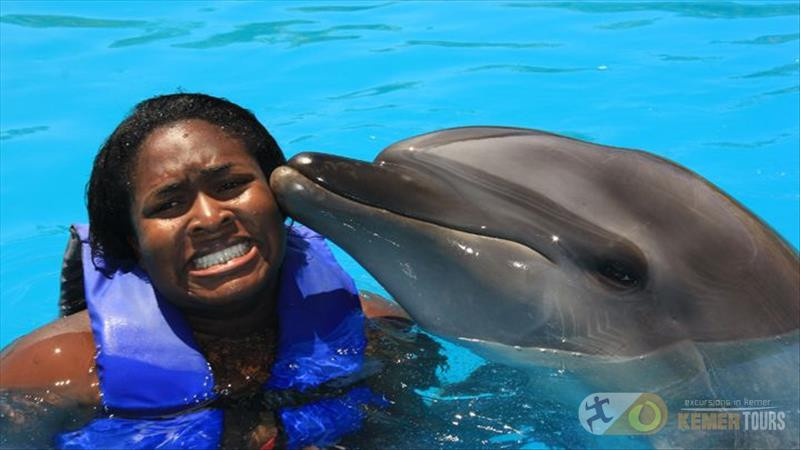 Swimming with dolphins in Kemer