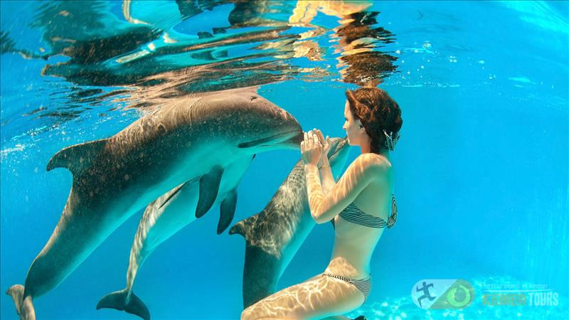 Swimming with dolphins in Kemer