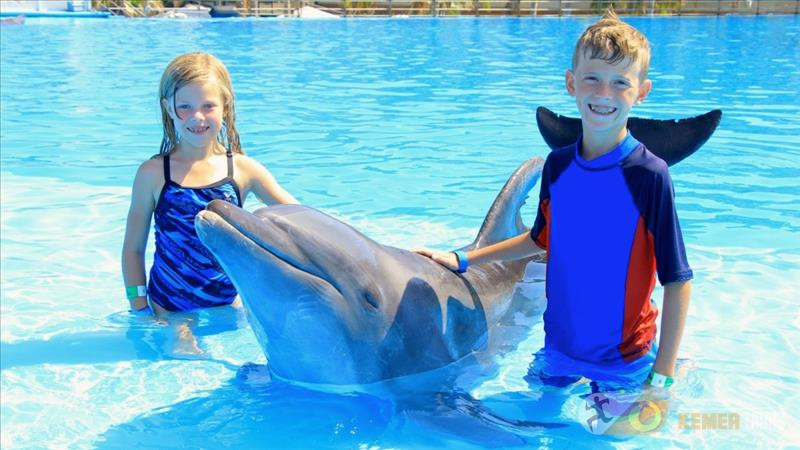 Swimming with dolphins in Kemer